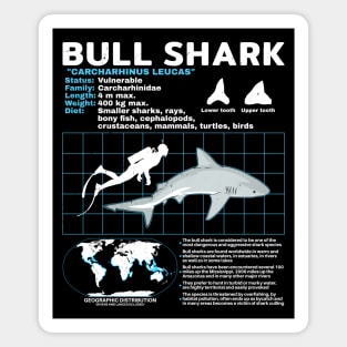 Bull Shark Fact Sheet Magnet